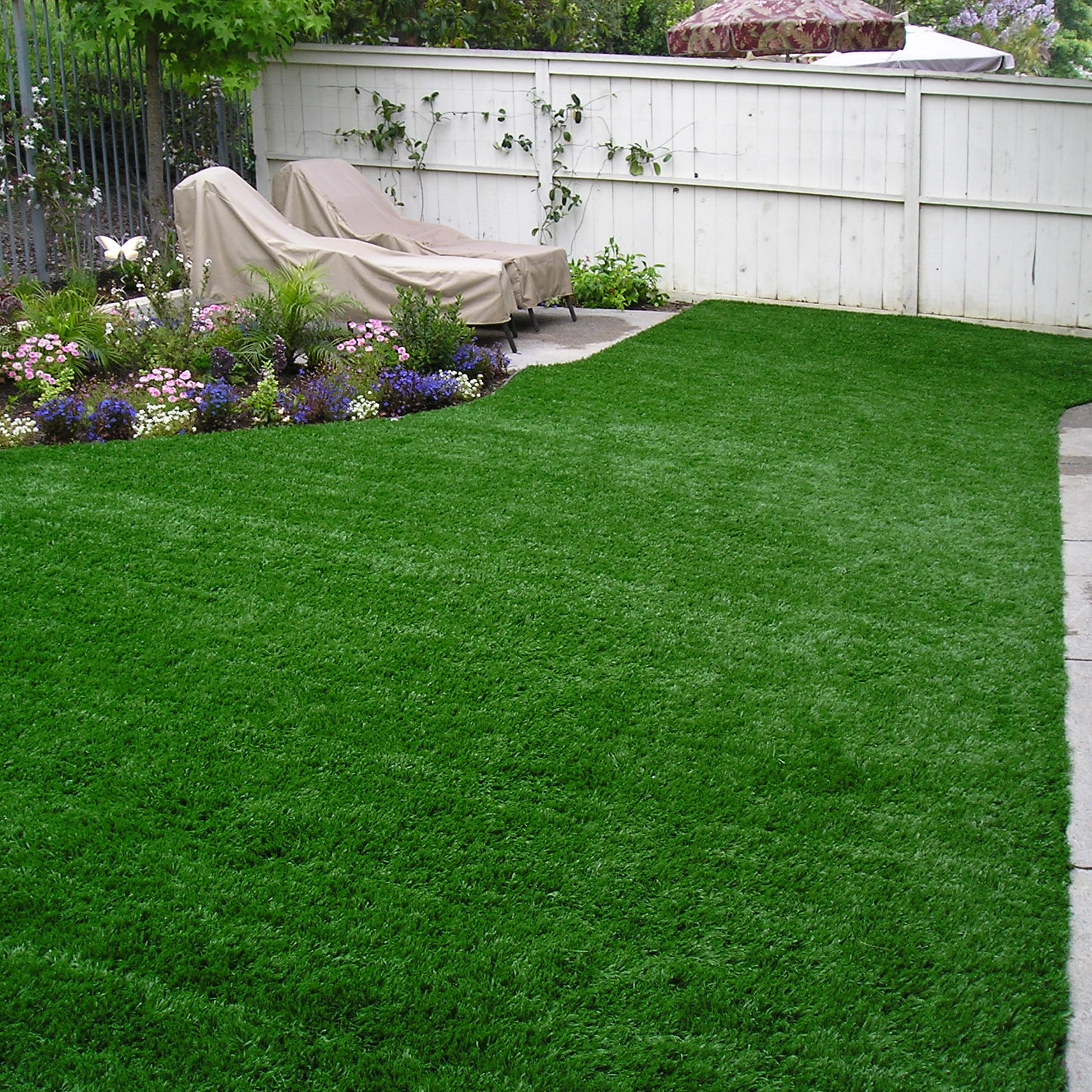 Reduce Your Lawn Care Instantly: Emerald-92 Stem Grass