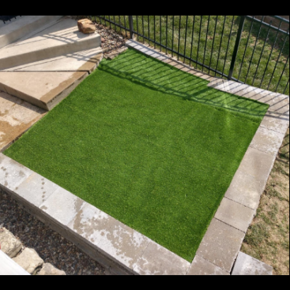 Star Grass-35 dog poop grass,dog area in backyard,dog area in backyard,how to clean fake grass,how to clean synthetic grass,clean artificial grass,grass good for dogs,how good is artificial grass