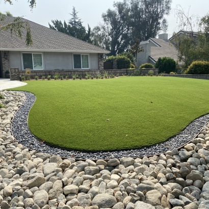 Artificial Grass Photo Gallery