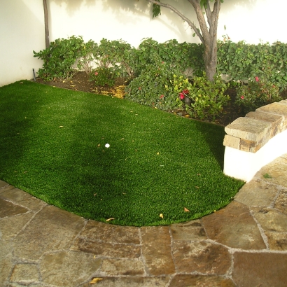 S Blade 50 fake grass for yard,backyard turf,turf backyard,turf yard,fake grass for backyard,backyard turf,turf backyard,fake grass for backyard,fake grass backyard,artificial grass backyard