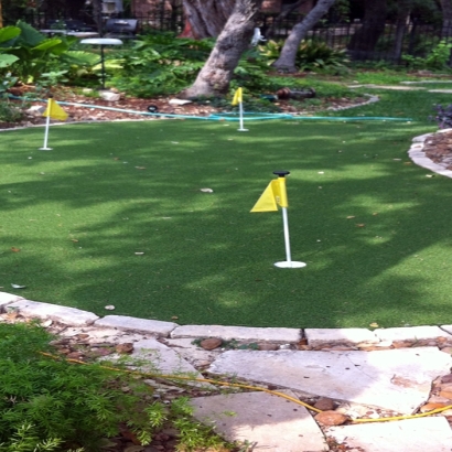 Artificial Grass, Synthetic Grass In San Antonio, Texas