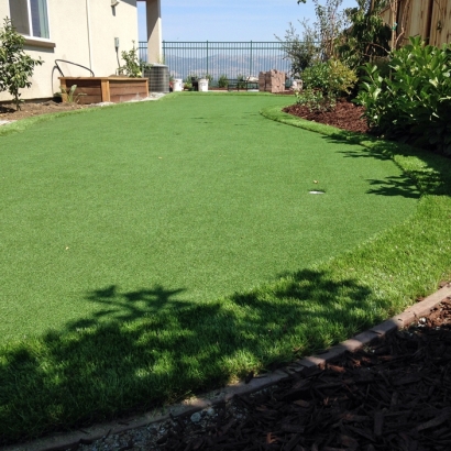 Synthetic Lawn in Fresno, California