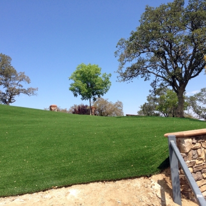 Artificial Grass Installation in San Luis Obispo, California