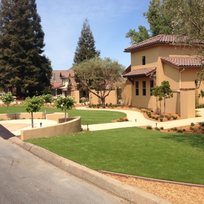 Artificial Grass Installation in Saratoga, California