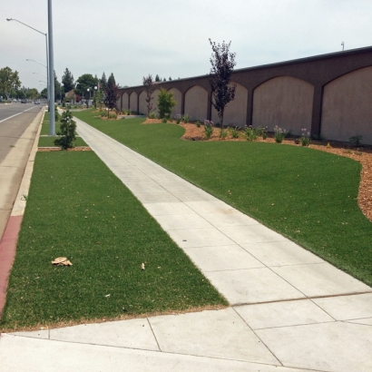 Artificial Grass Installation In San Rafael, California