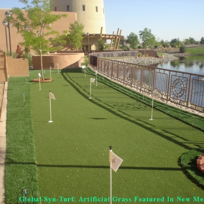 Artificial Grass In Albuquerque, New Mexico