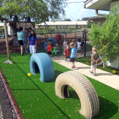 Artificial Grass Installation in Palm Harbor, Florida