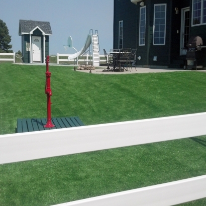 Artificial Grass In Installation in Great Falls, Montana