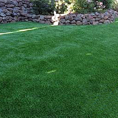 Artificial Grass Installation in Millbrae, California