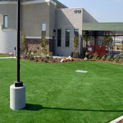 Artificial Grass Installation in Norwalk, California