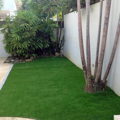 Artificial Grass Installation In Clearwater, Florida