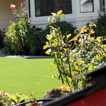 Artificial Grass Installation In Van Nuys, California