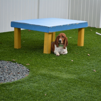 Dog Parks with Artificial Grass for Dogs Antelope, California