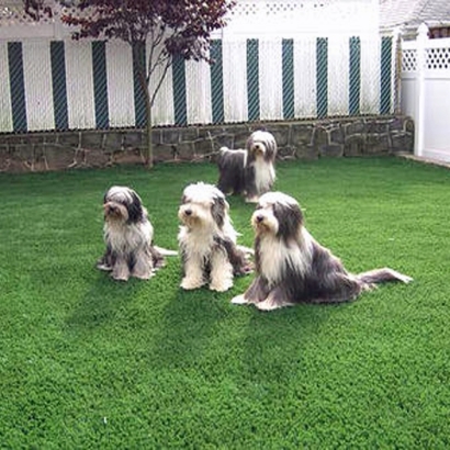 Artificial Grass Installation In Cincinnati, Ohio