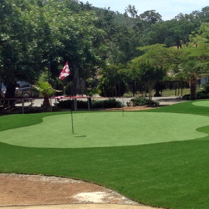 Artificial Grass Installation in Lakeview, California