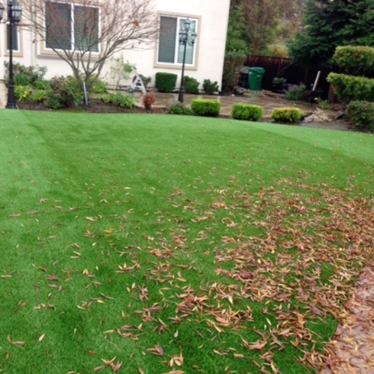 Artificial Grass Installation in Norfolk, Virginia