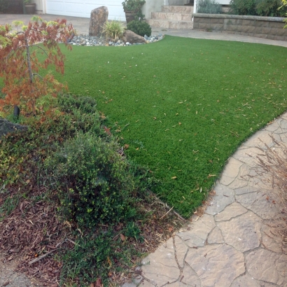 Artificial Grass Installation in Paso Robles, California