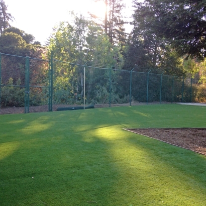 Artificial Grass Installation in Placerville, California