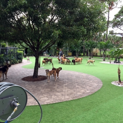 Artificial Grass Installation in Wellington, Florida