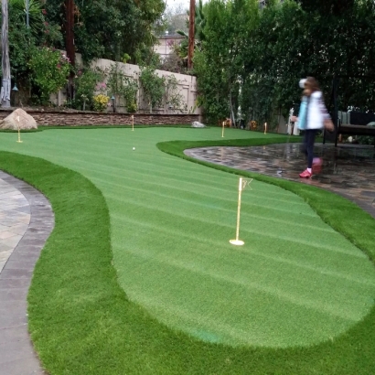 Artificial Grass Installation in Willowbrook, California