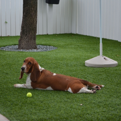 Dog Pound Artificial Grass for Dogs North Highlands, California