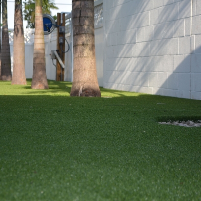 Artificial Grass Around Trees. Lakewood, California