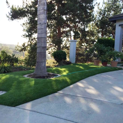 Front yard lawn landscape ideas palm trees artificial grass synthetic turf green lawn white house driveway concrete street walk