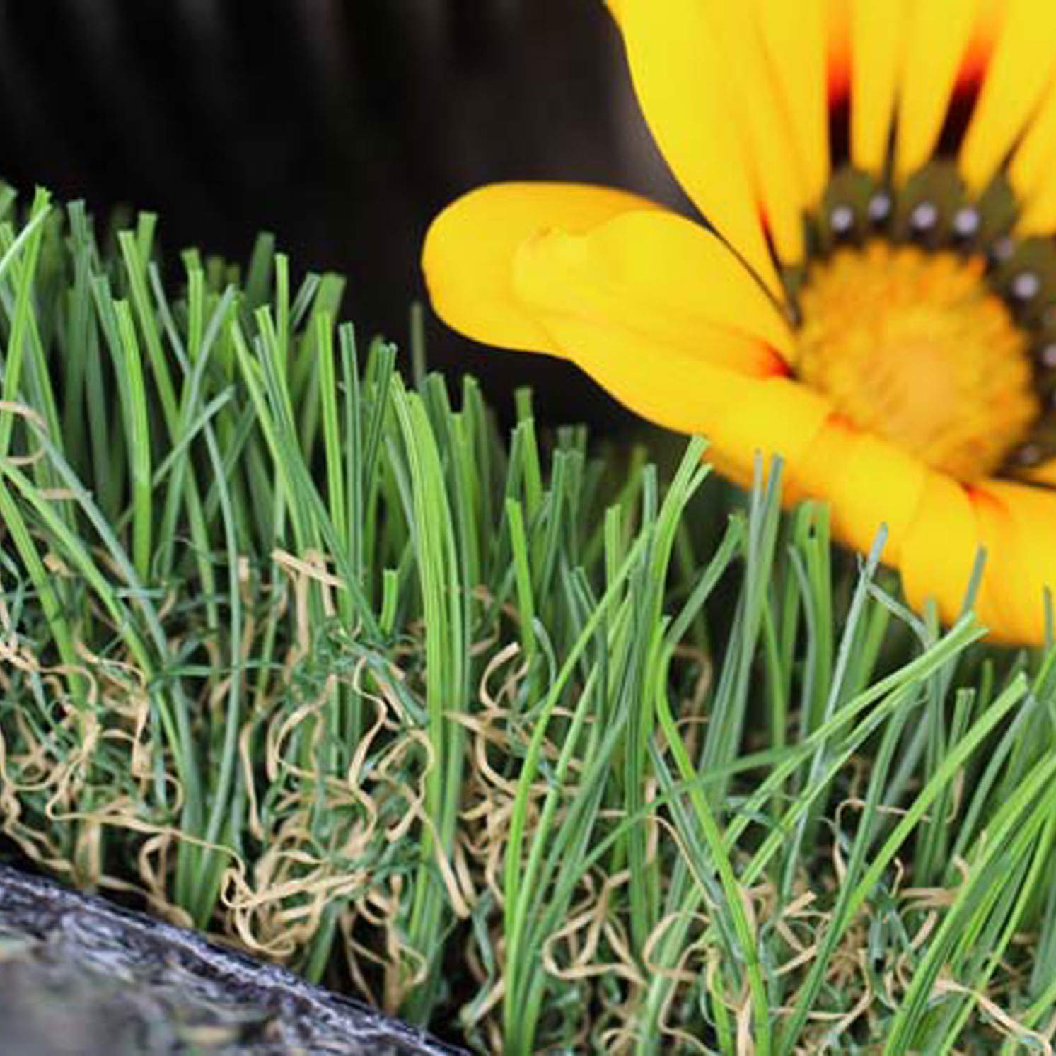 Best Artificial Grass Riviera Monterey 84 Syn Turf