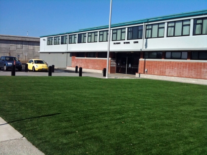 Fake Grass, Synthetic Turf San Jose, California