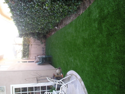 Synthetic Lawn Looks So Real with S Blade-90 Syn-Turf!