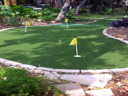 Artificial Grass, Synthetic Grass In San Antonio, Texas