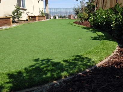 Synthetic Lawn in Fresno, California