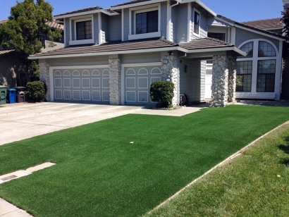 Artificial Grass Installation in Union City, California