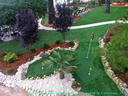 Artificial Grass Installation in Santa Cruz, California