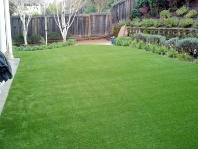 Backyard synthetic lawn green grass raised flower beds