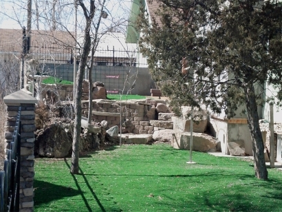 Artificial Grass In Installation in Cheyenne, Wyoming