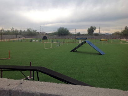 Artificial Grass Installation in Pomona, California