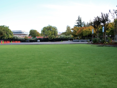 Artificial Grass Installation In Lakewood, California