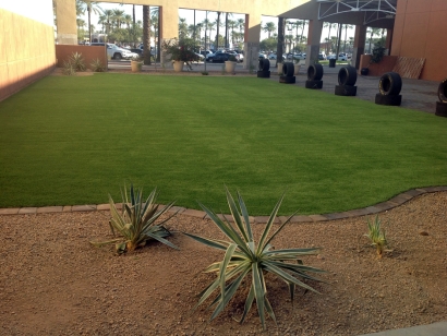 Artificial Grass Installation In Marana, Arizona