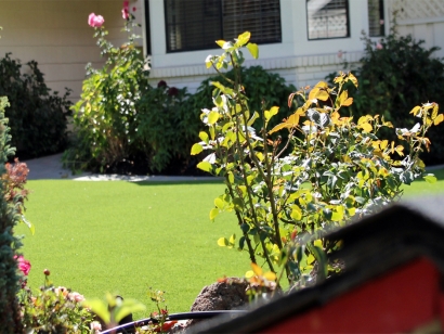 Artificial Grass Installation In Van Nuys, California