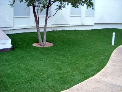 Artificial Grass Installation In San Anselmo, California