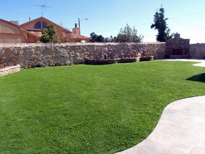 Artificial Grass Installation in Conroe, Texas