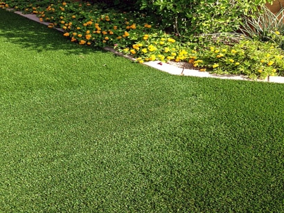 Artificial Grass Installation in Hanford, California