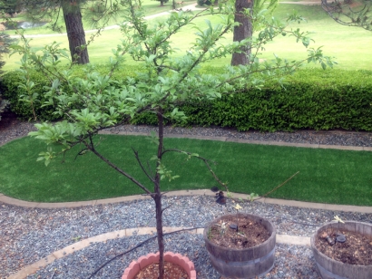 Artificial Grass Installation in Mt Laguna, California