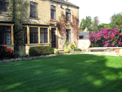 Artificial Grass Installation in Lomita, California