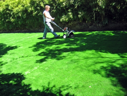 Artificial Grass Installation In Manteca, California