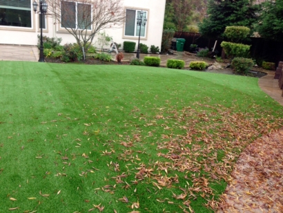 Artificial Grass Installation in Norfolk, Virginia