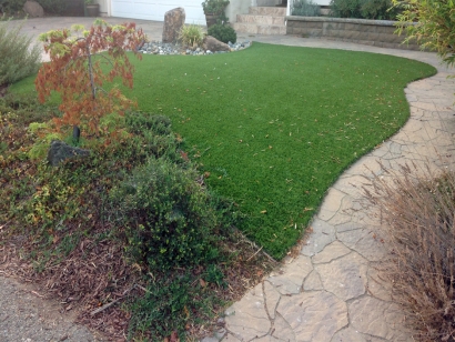 Artificial Grass Installation in Paso Robles, California