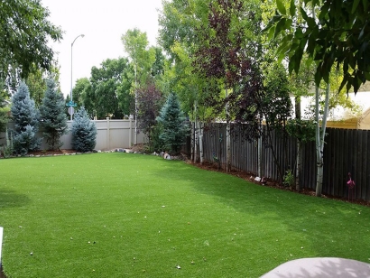 Artificial Grass Installation in Temple City, California