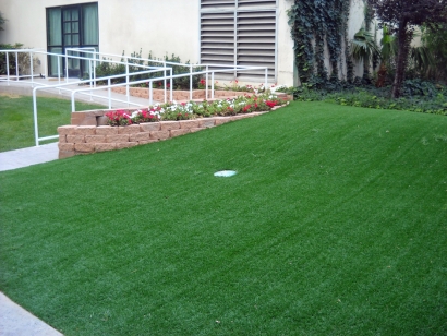 Artificial Grass Installation in West Palm Beach, Florida